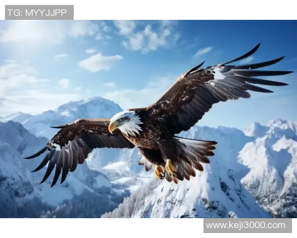 翱翔天际的王者:探秘老鹰的生存之道与自然魅力 翱翔天际的王者:探秘老鹰的生存之道与自然魅力